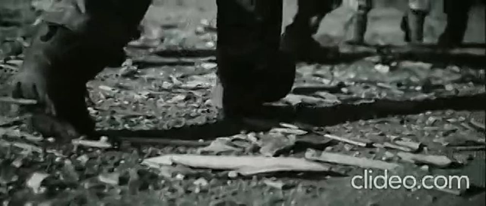 ������� �����!!!. ���� � ������!!!!