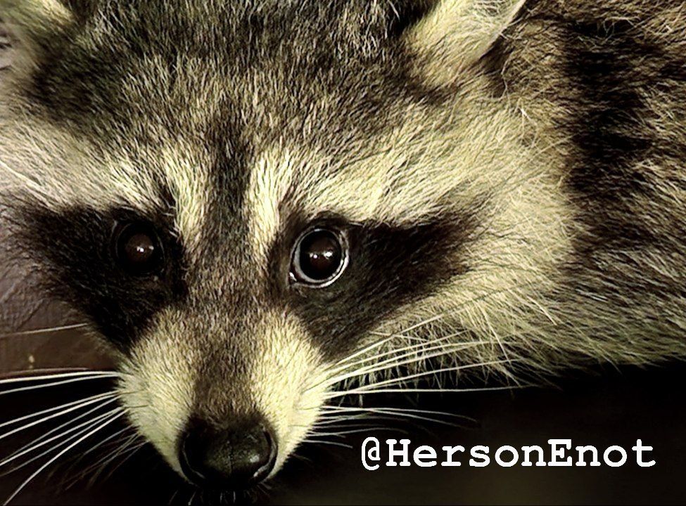 ���� �� �������: ������� ���, ������!. ������� �� ��������� ��������� ���! ���������� �������� ���������. �� ���-��� �������������� �� ��� ��� ��������