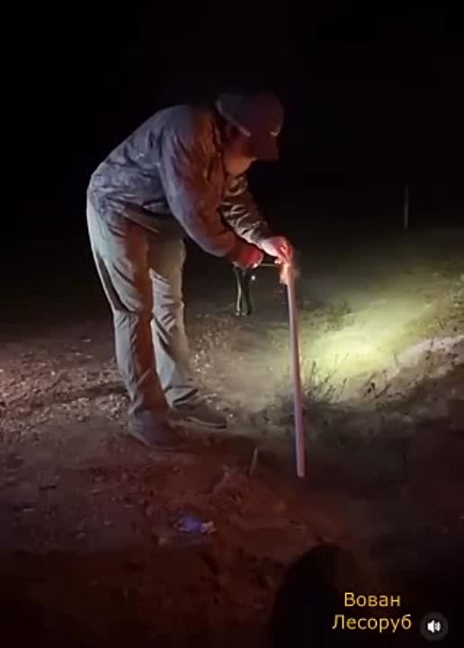 �����, ��� �������� ���������� ���..