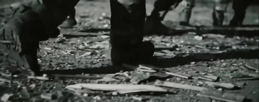 �������, ���Ш�!