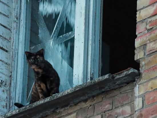 ������ ������� ���������� � ���������: ��������� �������� � ��������� �������