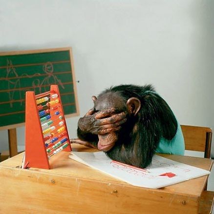 #����_������. �������� �������� ��������� ������ ������� �� ��������� 90-�, ��� ������� �������� �������� �� ������� ��� ������