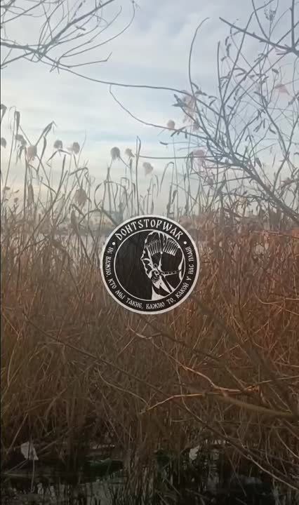 ����� �����: ���������� �����������. ����������� ������ �� ��� �����