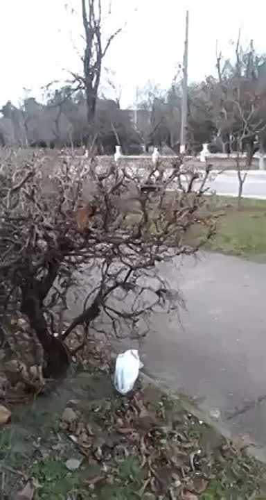 ����� � ������������ ������� �� ����� �������