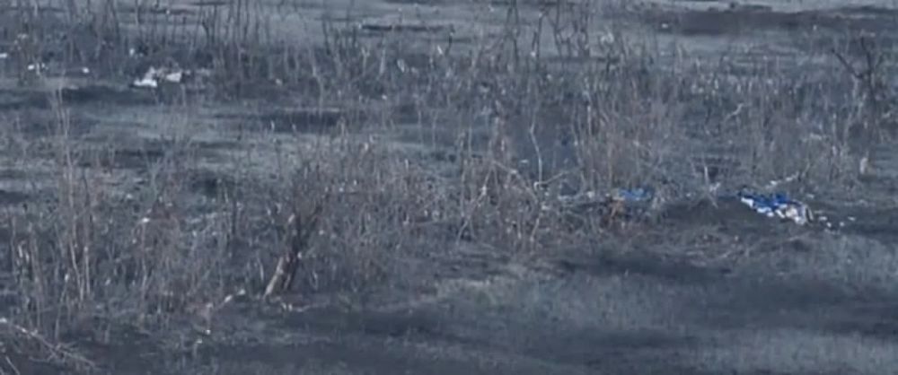 �������� �����: ����������� �� ����������� ����������� - ������� � ������ ���������� ����