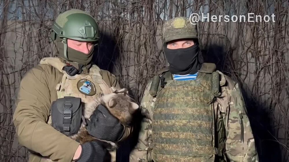 ���� �� ������� ��������� ���� ��������� � ������� �������� �����������