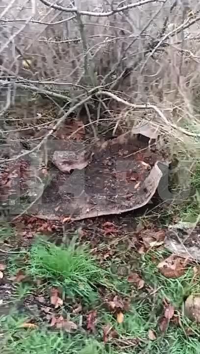 ����� ������� ����� ����������� ������ � ������� ������ ������ � ���������� ������ ���������� �������