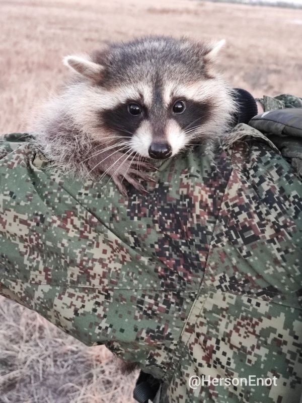 ���� �� �������: �����, �������!. � ������� ����� ������� � ����� �����. �� ��� �� �������� ��� ����� �������� ������� ��������