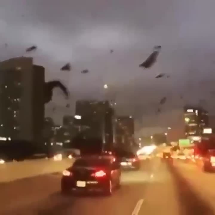 � ���� ��������� ����� � ���������� ����� � �����