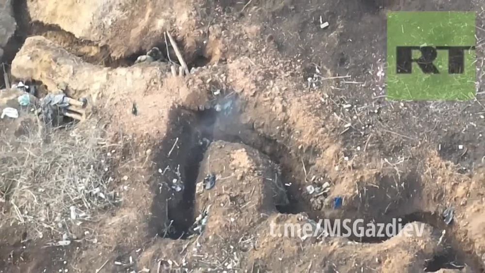 ����� ������� ���. Ƹ����� �����