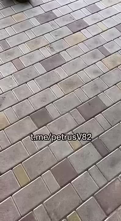 � ����� ��� � ������� ��������� ������ ���� � �� ����������