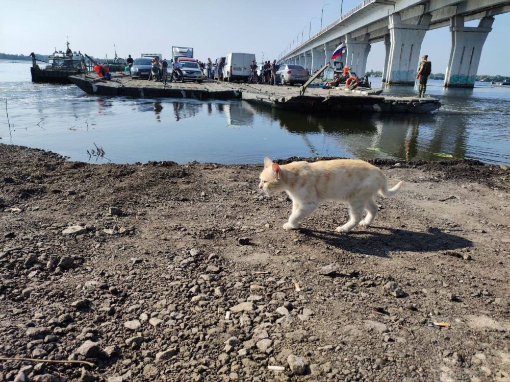 ������� ����������: ���� �� ����� ������ ���� �������� �������� - ��� ��������� ������������ �����