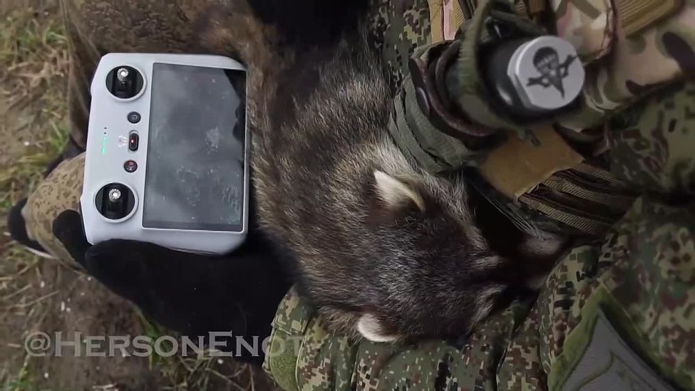 ���� �� �������: ��� ��� ���� ��������� ����� �� �����, ������ �����, ������