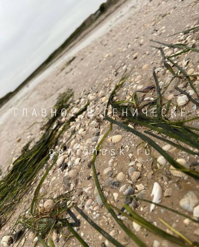 ��������� ���� ��������� ������