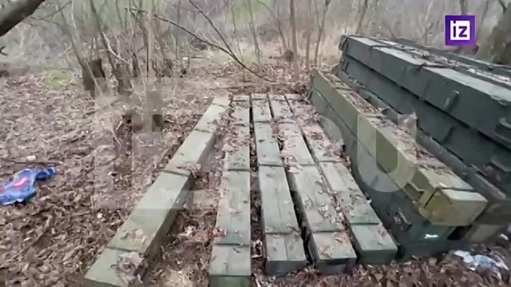 ���� �� ���������� ������� ��� �� ��������� ��� ���� "����" � ������������ � ��� ���������� �� ������������ ���������� ����������� �����������