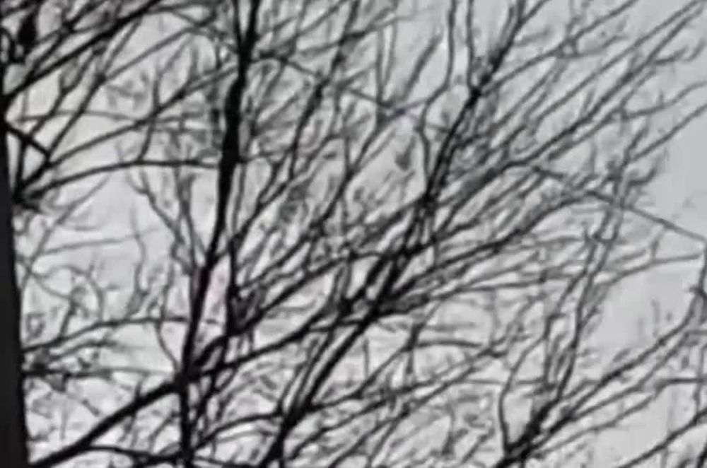 ����� �����, ������� ��� ����������� ��������