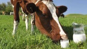 ������������� ������������ ����� ������������ ������ �� ���������� ������������ ������������ � �������� ������ �� ���� �����ѻ ��������� ��������� ����������� ��������� ��������� ������������� �� ���������� � ����������� ��������