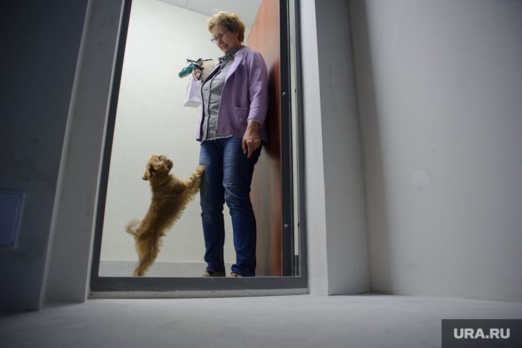 ������ ������� �������� ������ �������� � ������������ �������