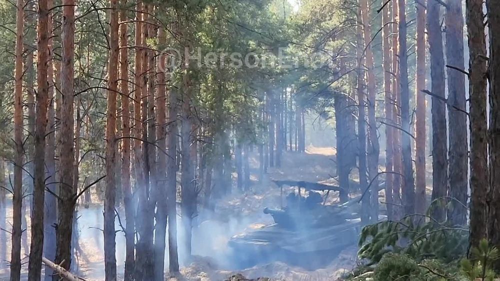 ���� �� �������: ���� ������ �� ���������� ���� �������� �� ���� �������� � ������� ������