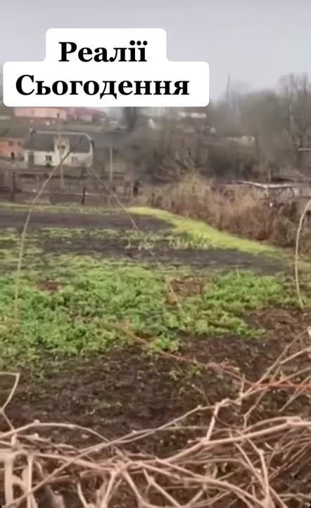 �� ������� ������ ��� ���� ����� ����������� ������ ��� ������� � ����� ����� ������..