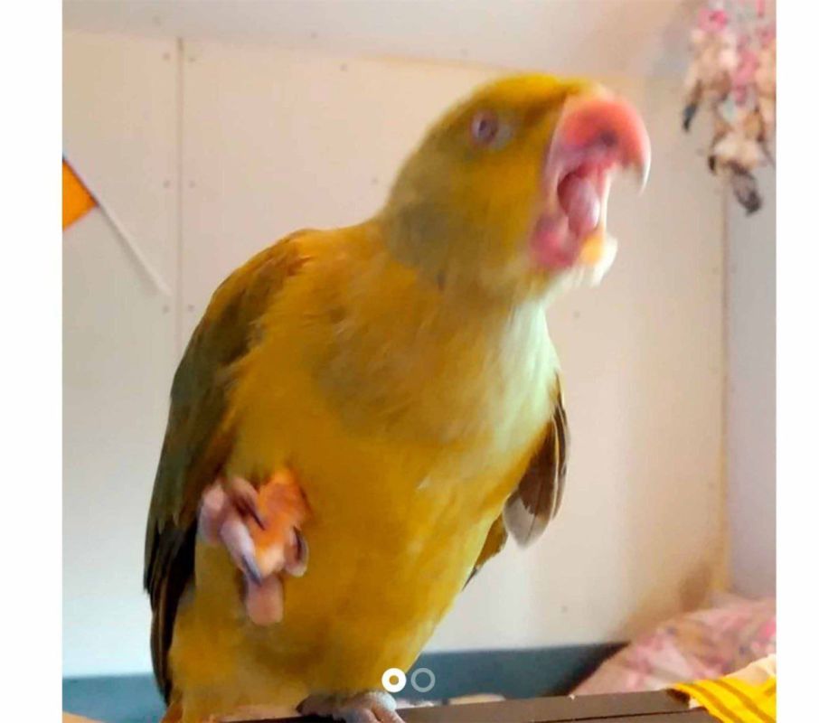 � ������� ������� �������, ������� ������������ ����� ����