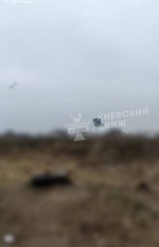 ��� �� �������� �������� ����� ������, ����� ������ � ������, �������, ��������