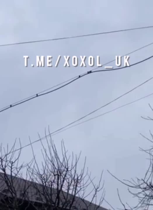 ������������� ���� �� �������: ������ ���� �� ����, ��� ��� ��� ��������