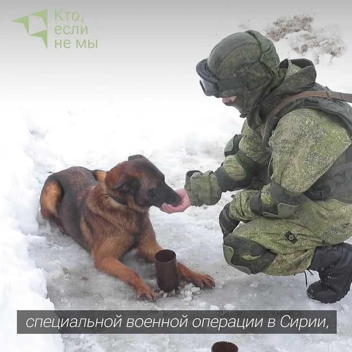 ��� ��� �� ���� ��� ����� �� �������� � ��� ������ ����������� �� ���������, ��� ���� ��������� ������, ��� ������ �������� � ������������