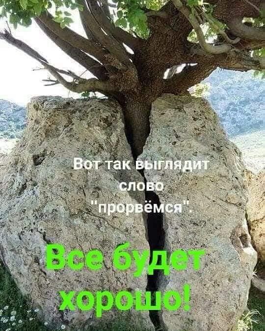 ������, ����������� �� ���������� ��-������� ������������� ������� ���������� � ��������������