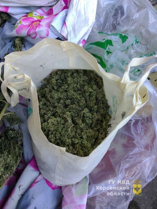 ����������� ������ ��������� � ���������� � ������������ ������������� �������