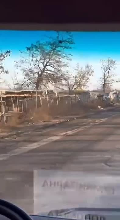 ��� ������ �������� ������