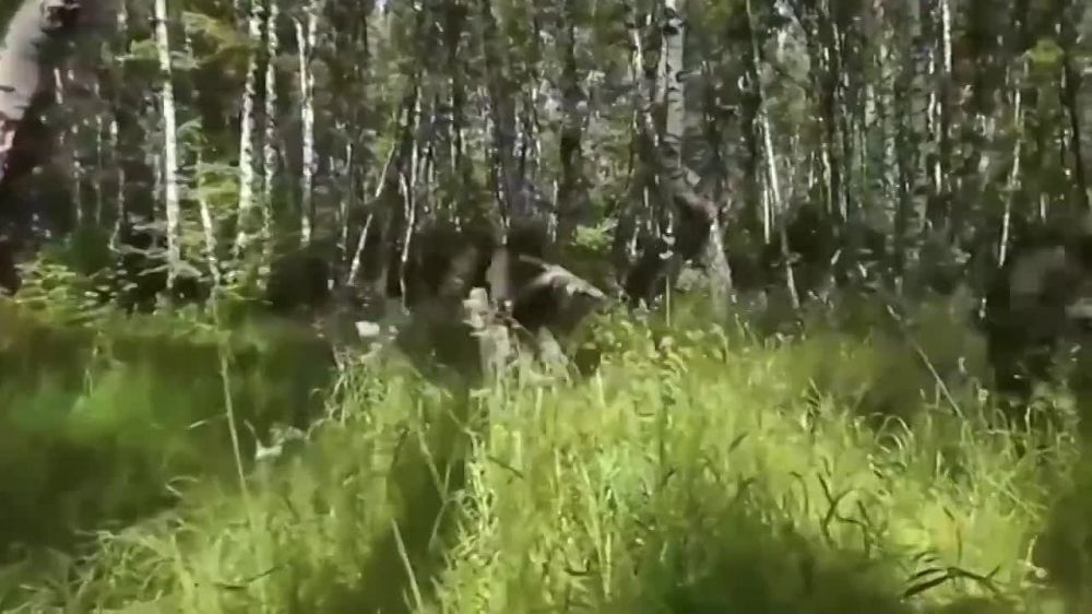 �� ���! �� ���� ����� - ���� ������!