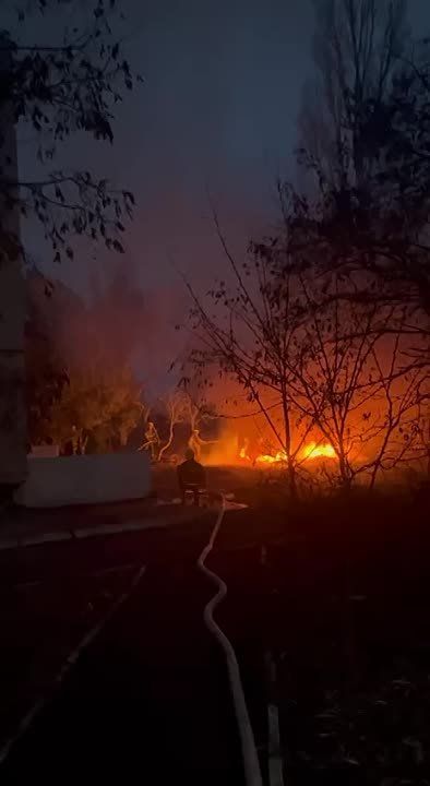 � ���������� ����������� ��������������� �������� ����������� ��������� �������� �.����� ������� ���������� ������ "������ ������"