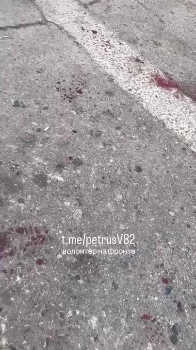 ������: ������������ �� ��������