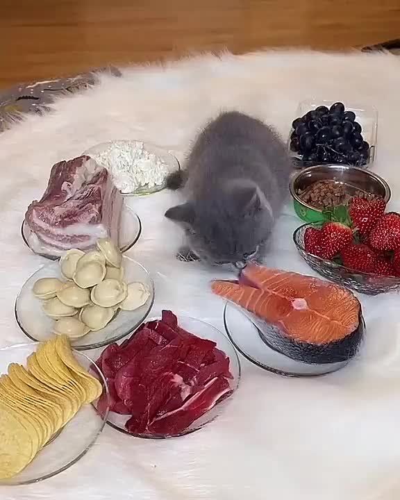 �� ������ �������� � �����, ������ � ��������.