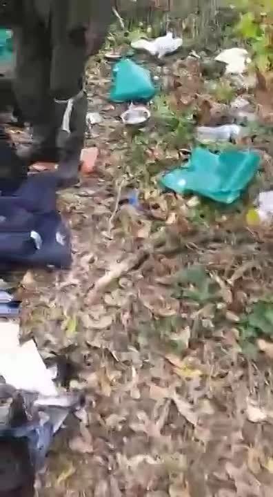 ��������� �������: ������ ��������� � ����������, ����������� ���� ����������, ����� ������ ���