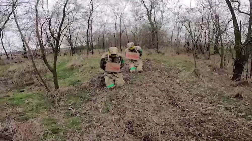 �� ������ ������ � ��������� ����� ��������������� ������ ������������� "������", ������� ���������� ����� �������������� �� ����������