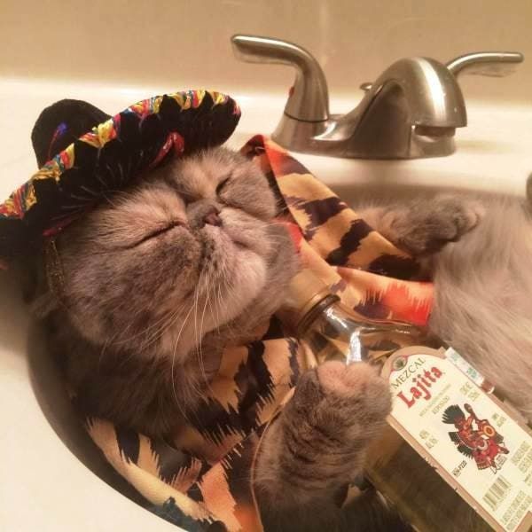 ������, ��������, �� ������� ���! ����� �� ������, ����� ��� �����