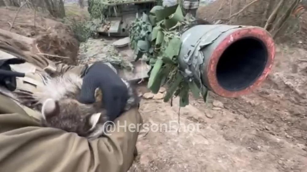 ���� �� �������: �������� ���, ������!. ������� ������� ��� ����������, � ������ �������� � ��������� ��������, ������� � ��� �������� �� ��� ������� � ���������� ������ � ������