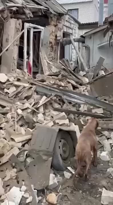 �������������. �� ���������� �����: