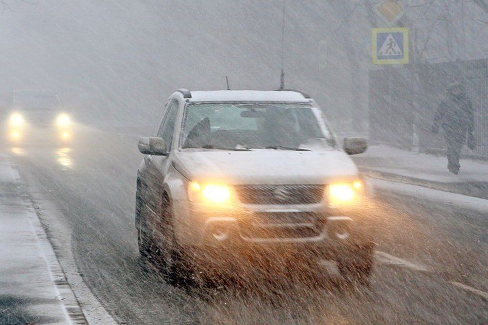 ���������� ����� �� ��� ���������� ������� ���������� ��������� ������� ��������� �� ������ � ������ ��������