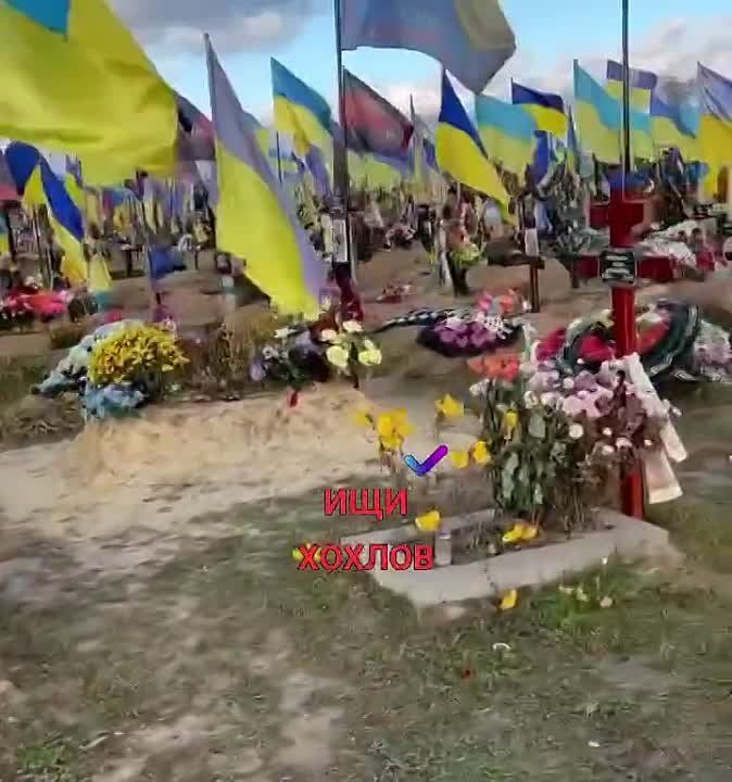 �� ���������� �� �������� ����������, 17 ����� ������ ��� ���������������� ������� ��������� ���� �����������