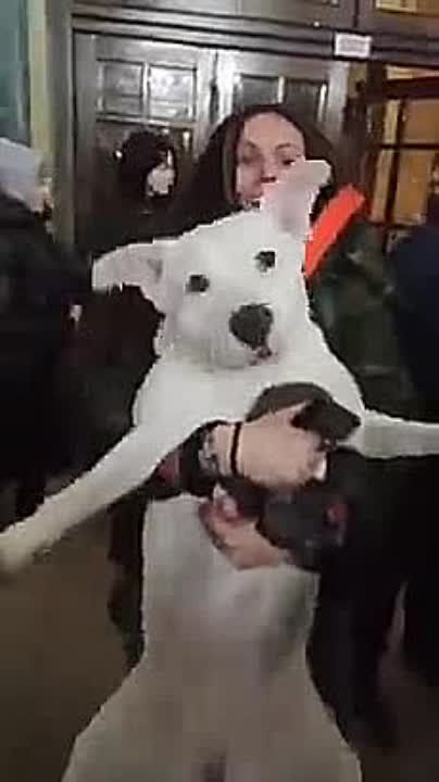 ����� �� � ���, ������ �����, ���� � ����