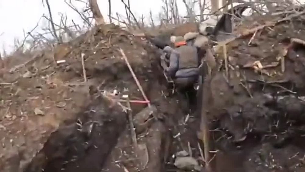 �������� �����: ����������� ������� �������� - ������� � ������ ���������� ���� � ������� ��� - ����� �� ������� ����