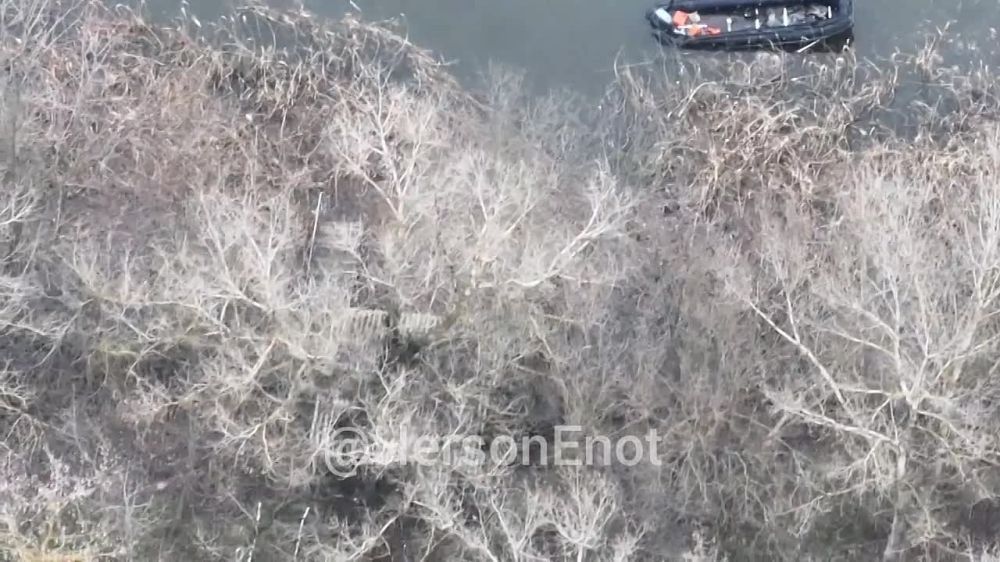 ���� �� �������: �������� ����� ���������� ���, ������� ���������� ������������� �� ����� �����