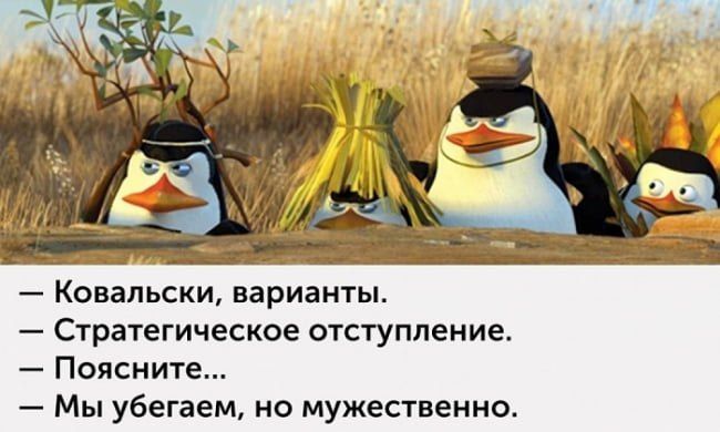 ���� �������� ����� ���������� ������: �� ������ ����� ����� ���� �� �� ������ ���� 4,4 ���. ������