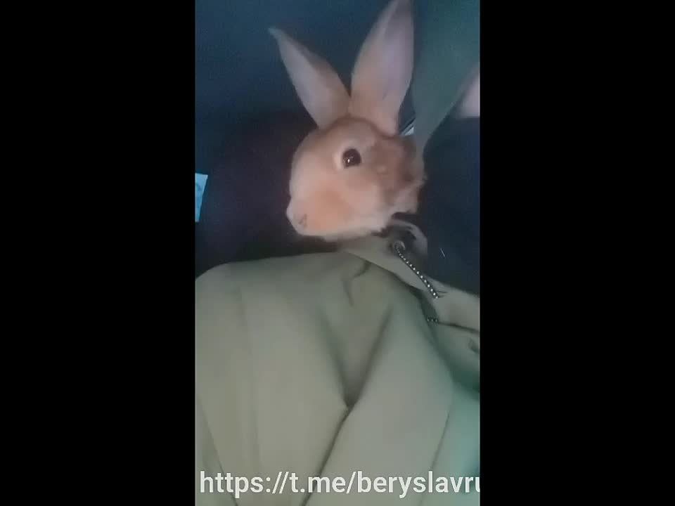 ������ ���� ������! �� ���� �� ����� ������ �������! ����������, ��� � ����� ���� �� � �������� � �������