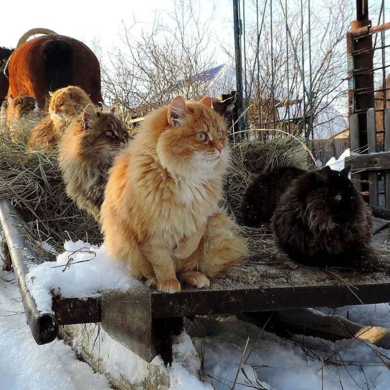 ������� �� ������. �����-�����, ��� ���� ���� ��������� ����������, � ������� ��� ���������� �� ��������