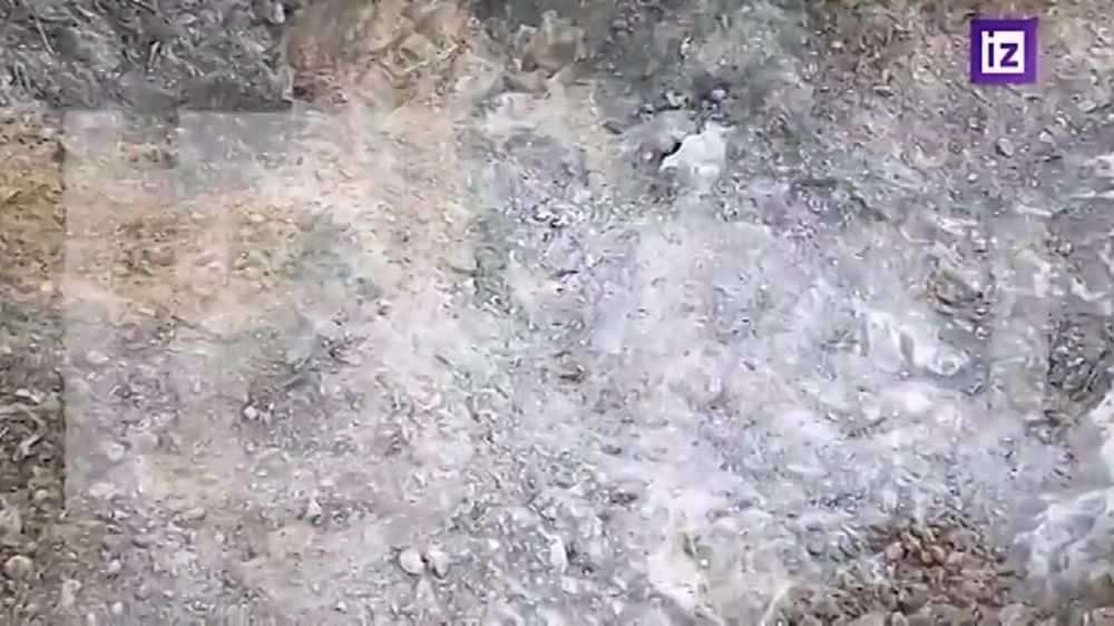 ������� ��������� �����, ������������ ���, �������� �������� ��������� �������� ����� � ��������� �������� ���������� � ����� ������� �� ������� ���. ����������� ����� ������������� ������ ������������� "��������" ����� �������