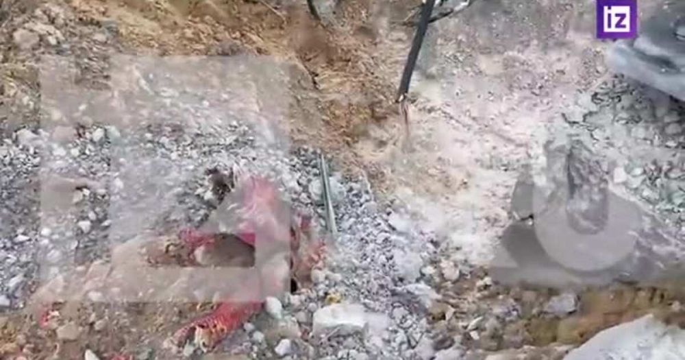 ����� ����������� �������� ��� ���������� � ����� �������